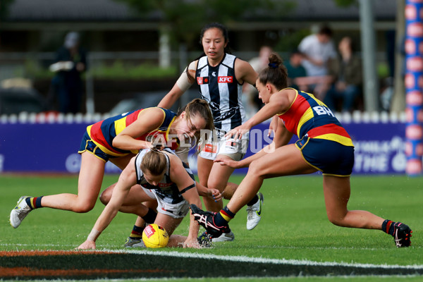 AFLW 2022 S7 Second Semi Final - Adelaide v Collingwood - A-551854