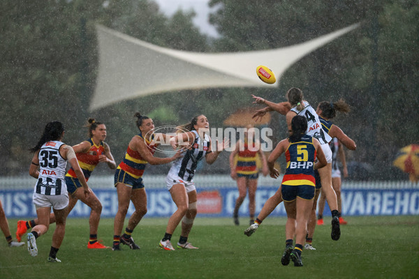 AFLW 2022 S7 Second Semi Final - Adelaide v Collingwood - A-551858