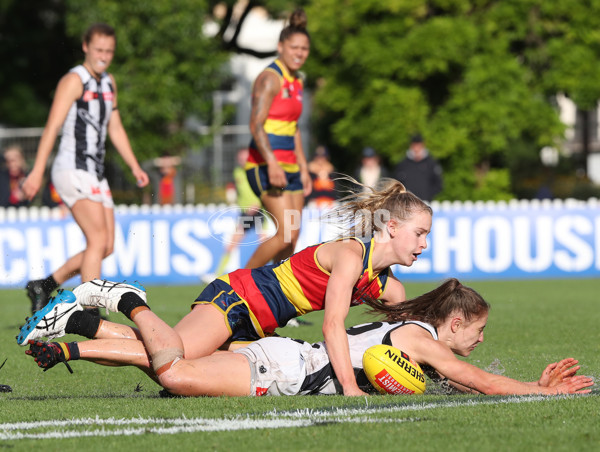 2AFLW 2022 S7 Second Semi Final - Adelaide v Collingwood - A-554138