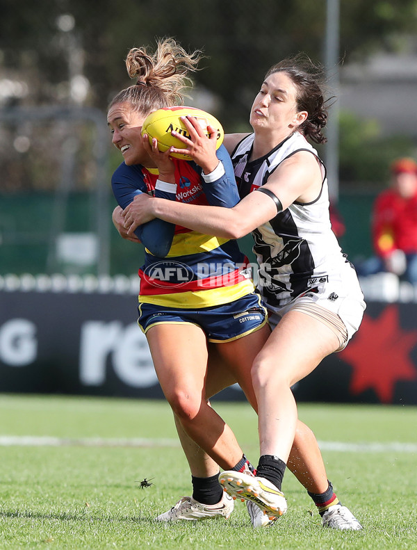 AFLW 2022 S7 Second Semi Final - Adelaide v Collingwood - A-554150