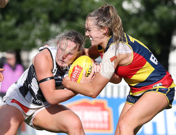 AFLW 2022 S7 Second Semi Final - Adelaide v Collingwood - A-554437