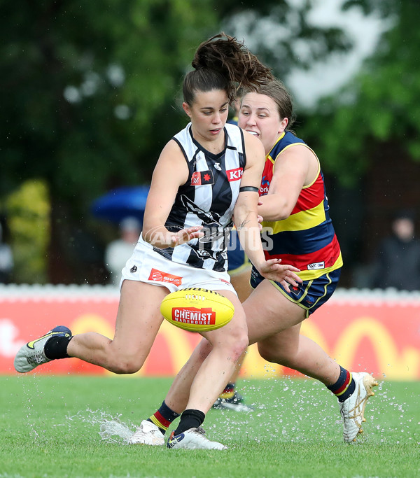 AFLW 2022 S7 Second Semi Final - Adelaide v Collingwood - A-554469