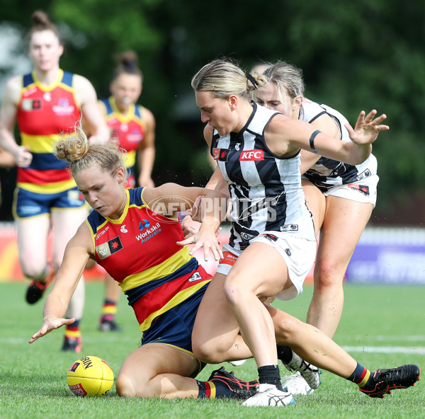 AFLW 2022 S7 Second Semi Final - Adelaide v Collingwood - A-556617