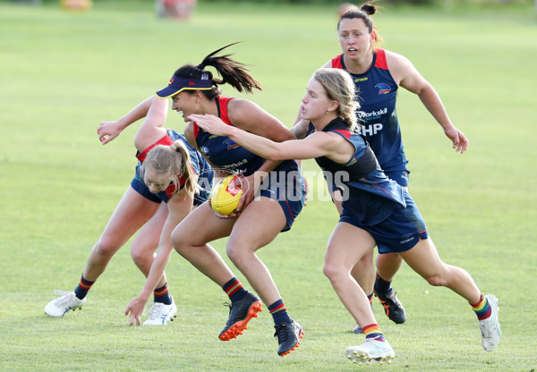 AFLW 2022 S7 Training - Adelaide Crows 161122 - A-567144