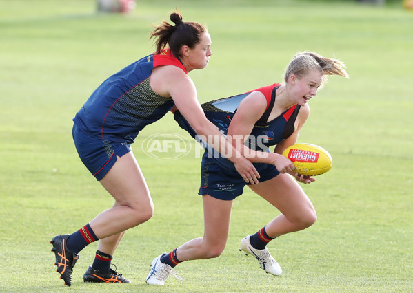 AFLW 2022 S7 Training - Adelaide Crows 161122 - A-567147