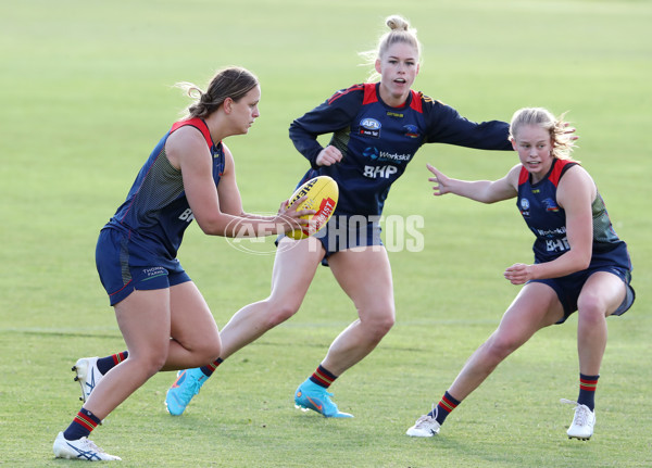 AFLW 2022 S7 Training - Adelaide Crows 161122 - A-567151