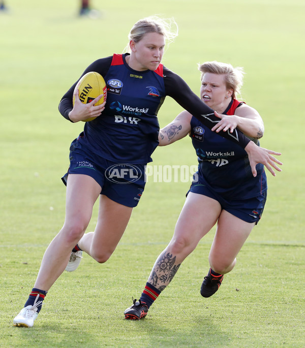 AFLW 2022 S7 Training - Adelaide Crows 161122 - A-567184