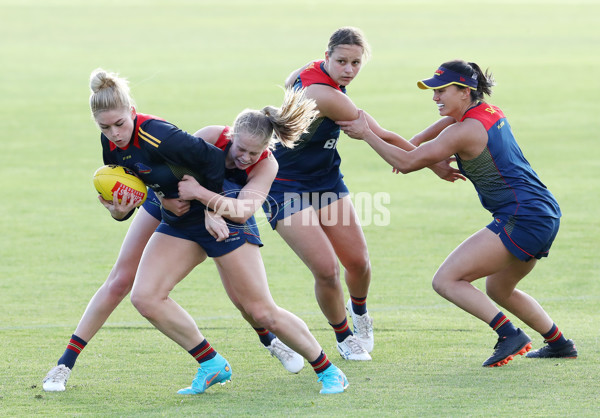 AFLW 2022 S7 Training - Adelaide Crows 161122 - A-567348