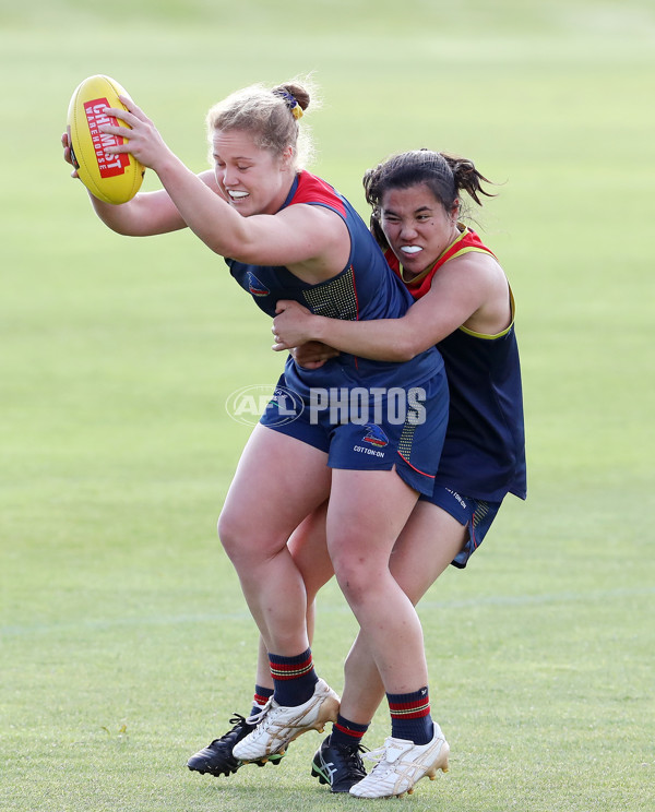 AFLW 2022 S7 Training - Adelaide Crows 161122 - A-567360