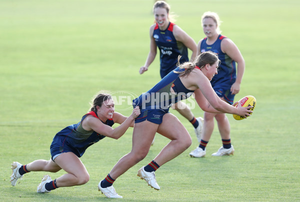 AFLW 2022 S7 Training - Adelaide Crows 161122 - A-567363