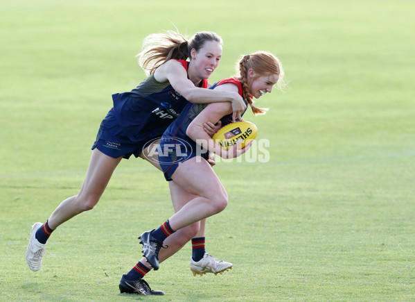 AFLW 2022 S7 Training - Adelaide Crows 161122 - A-567370