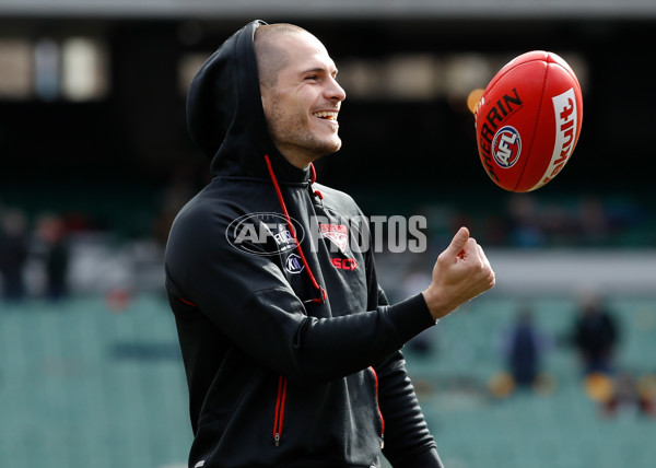 AFL 2018 Round 20 - Hawthorn v Essendon - 617100