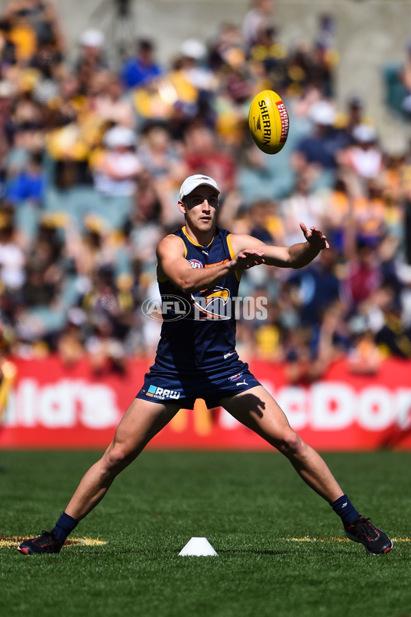 AFL 2015 Training - West Coast 280915 - 406713