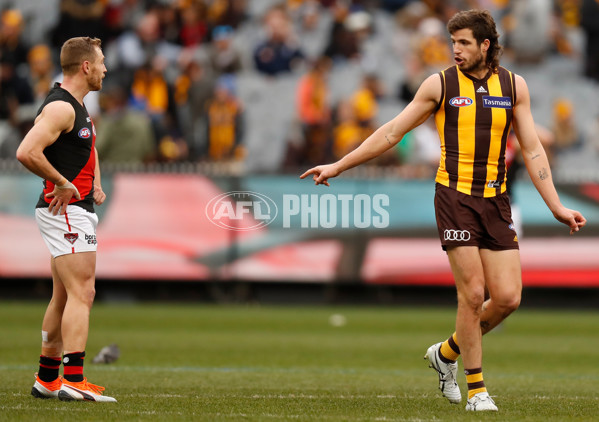 AFL 2018 Round 20 - Hawthorn v Essendon - 617189