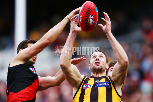 AFL 2018 Round 20 - Hawthorn v Essendon - 617183