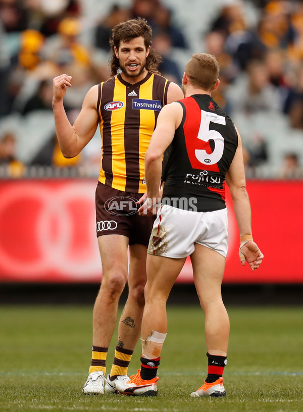 AFL 2018 Round 20 - Hawthorn v Essendon - 617203