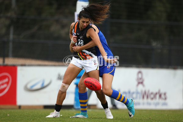 VFLW 2018 Round  13 - North Melbourne v NT Thunder - 617148