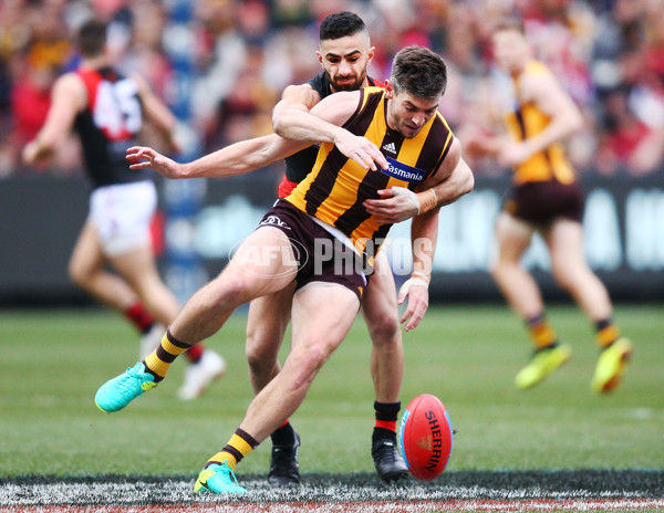 AFL 2018 Round 20 - Hawthorn v Essendon - 617173