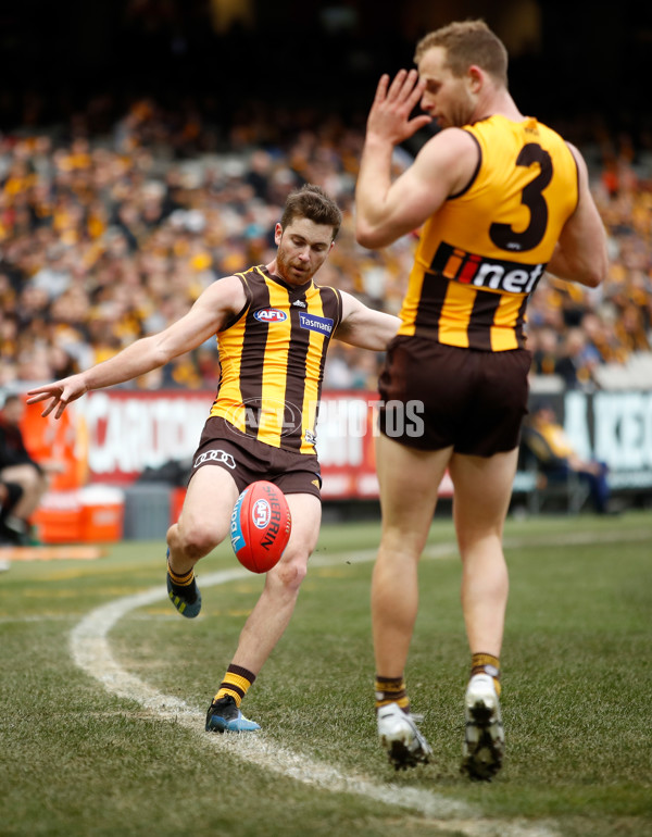 AFL 2018 Round 20 - Hawthorn v Essendon - 617194