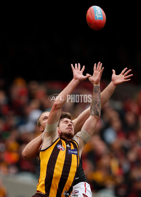 AFL 2018 Round 20 - Hawthorn v Essendon - 617164