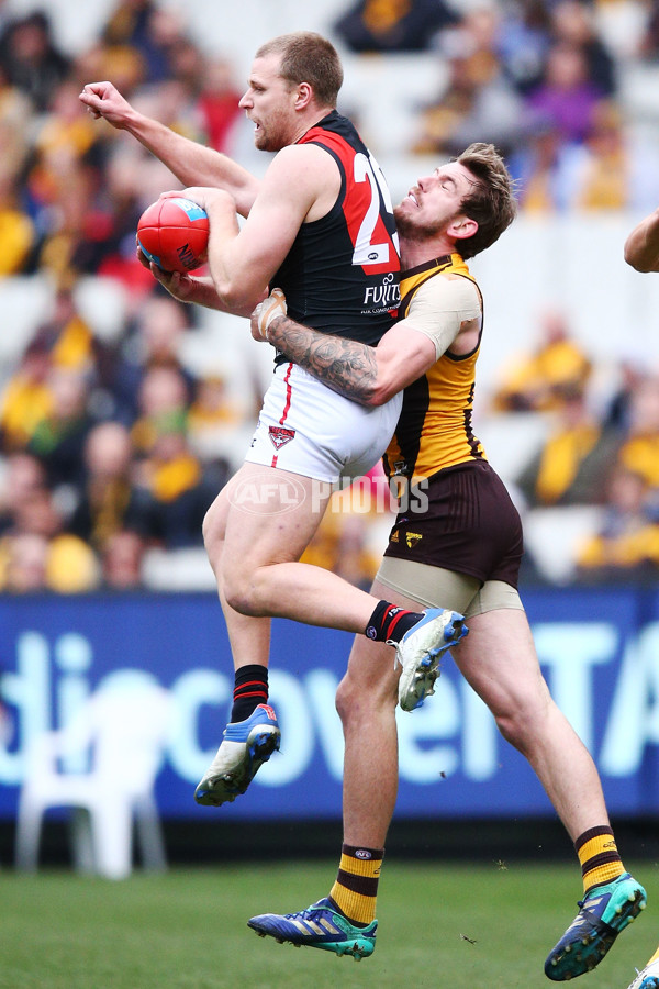 AFL 2018 Round 20 - Hawthorn v Essendon - 617225