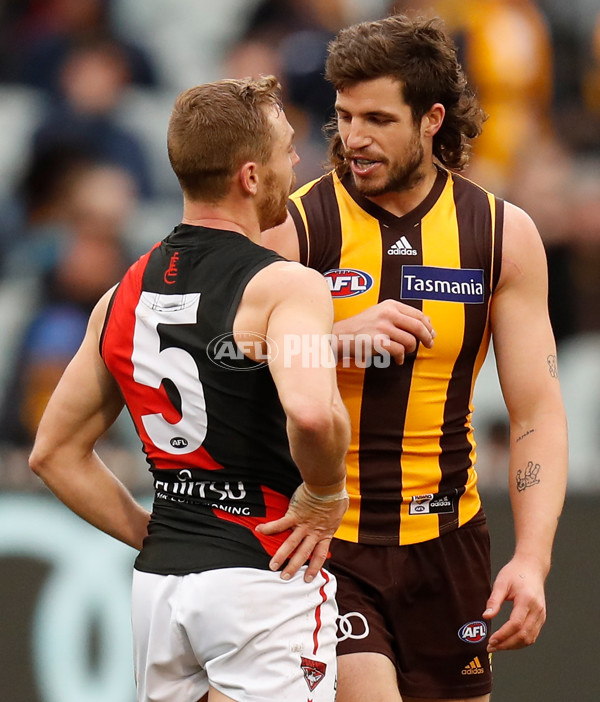 AFL 2018 Round 20 - Hawthorn v Essendon - 617204