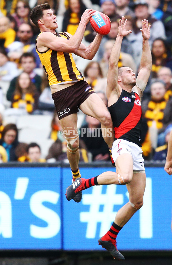 AFL 2018 Round 20 - Hawthorn v Essendon - 617220