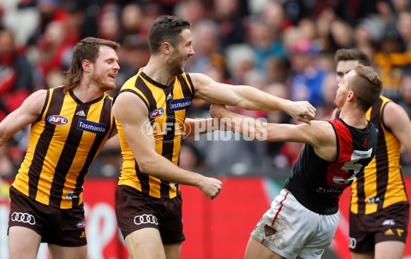 AFL 2018 Round 20 - Hawthorn v Essendon - 617267