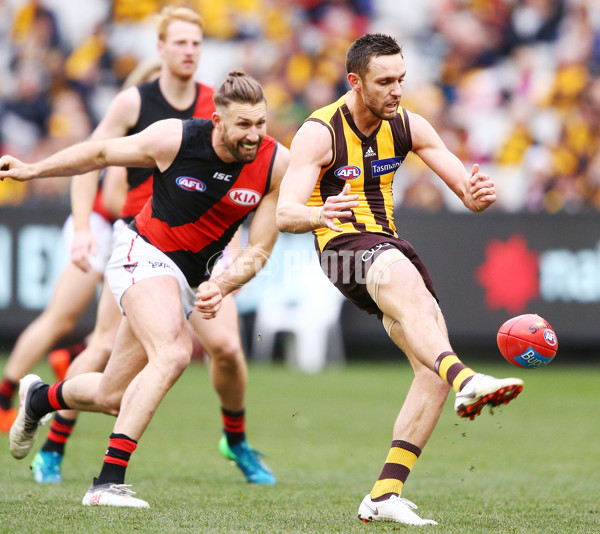 AFL 2018 Round 20 - Hawthorn v Essendon - 617240