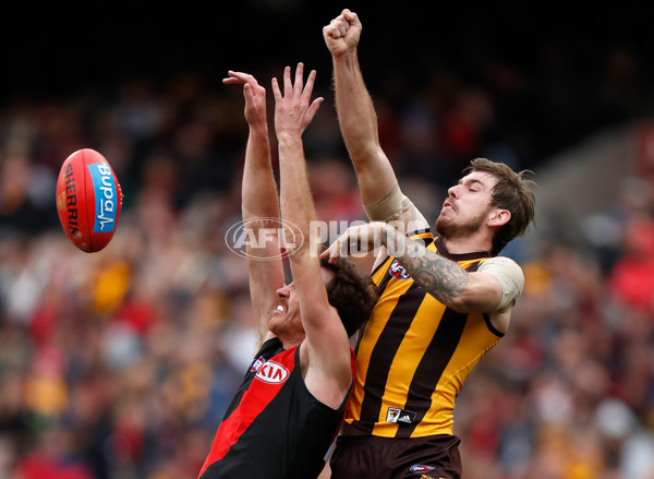 AFL 2018 Round 20 - Hawthorn v Essendon - 617266