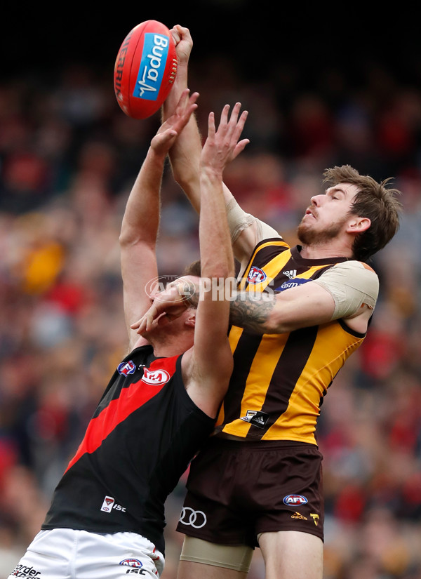 AFL 2018 Round 20 - Hawthorn v Essendon - 617252