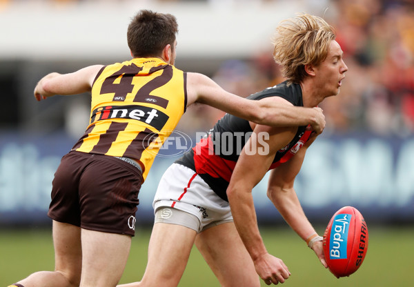 AFL 2018 Round 20 - Hawthorn v Essendon - 617320