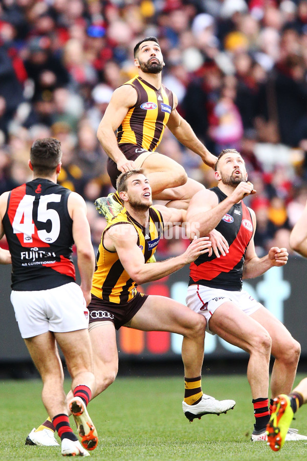 AFL 2018 Round 20 - Hawthorn v Essendon - 617324