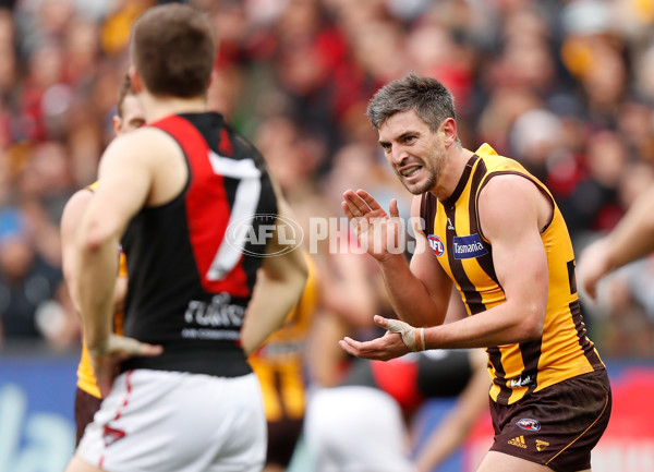 AFL 2018 Round 20 - Hawthorn v Essendon - 617315