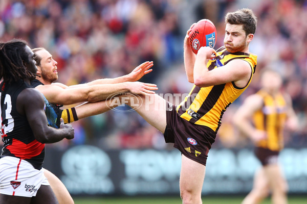 AFL 2018 Round 20 - Hawthorn v Essendon - 617358