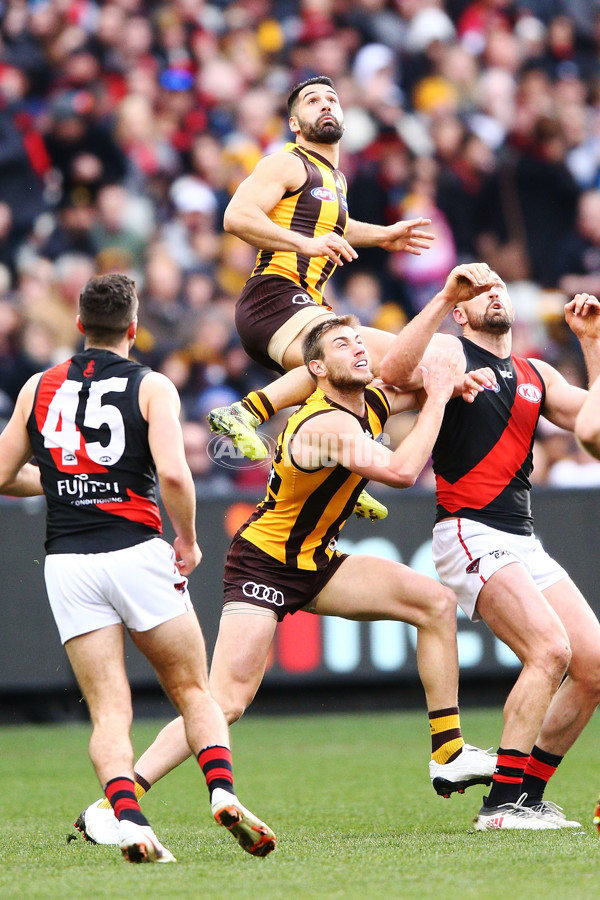 AFL 2018 Round 20 - Hawthorn v Essendon - 617325