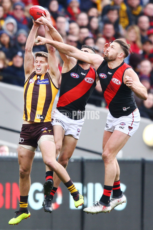 AFL 2018 Round 20 - Hawthorn v Essendon - 617362