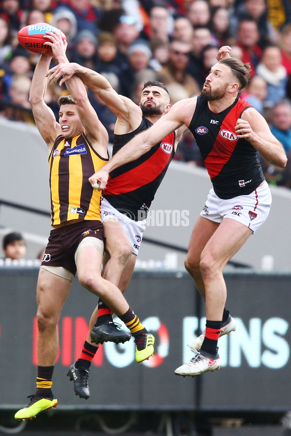 AFL 2018 Round 20 - Hawthorn v Essendon - 617363