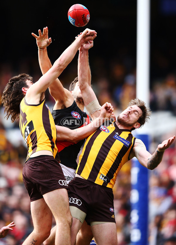 AFL 2018 Round 20 - Hawthorn v Essendon - 617331