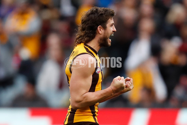 AFL 2018 Round 20 - Hawthorn v Essendon - 617443