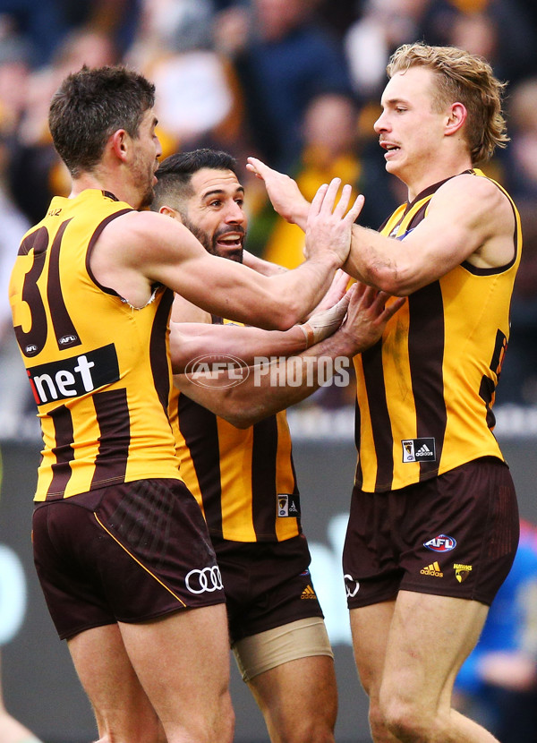 AFL 2018 Round 20 - Hawthorn v Essendon - 617514