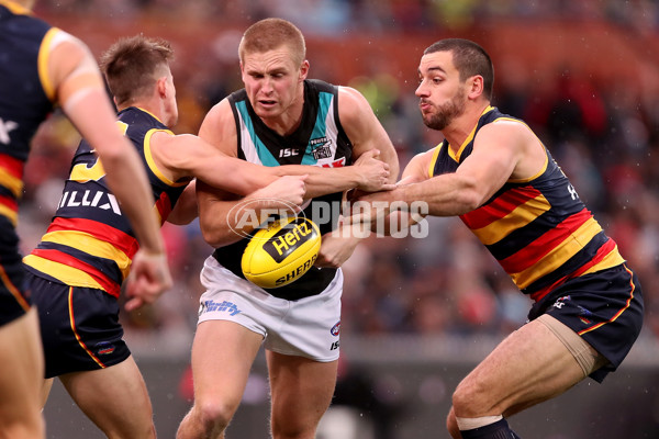 AFL 2018 Round 20 - Adelaide v Port Adelaide - 617526