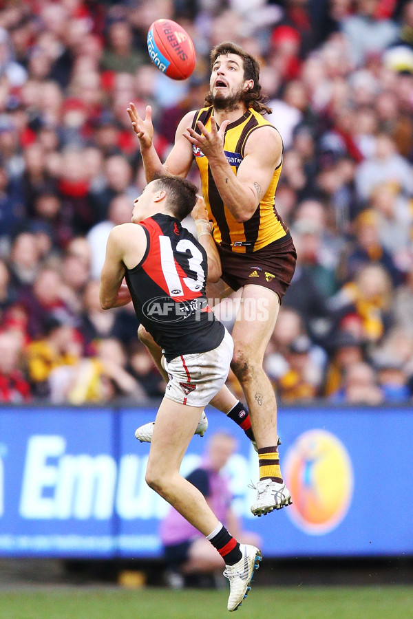 AFL 2018 Round 20 - Hawthorn v Essendon - 617522