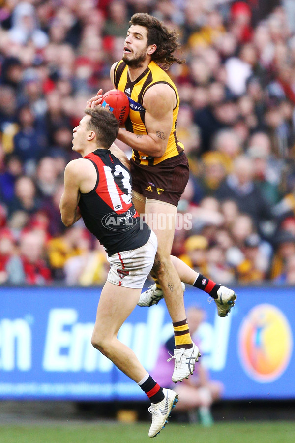 AFL 2018 Round 20 - Hawthorn v Essendon - 617523