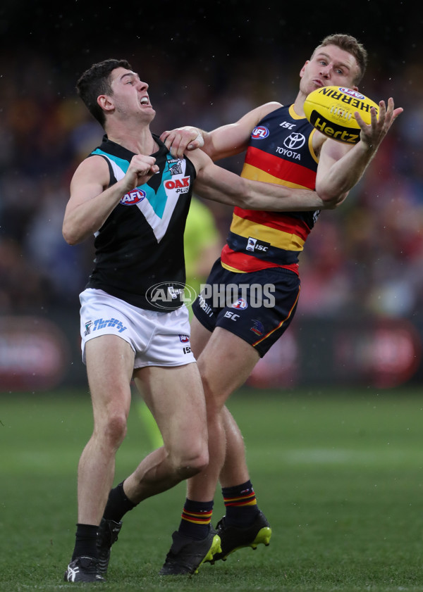 AFL 2018 Round 20 - Adelaide v Port Adelaide - 617554