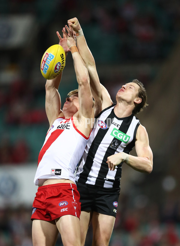 AFL 2018 Round 20 - Sydney v Collingwood - 617608