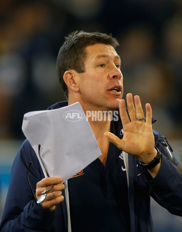 AFL 2012 Rd 15 - Collingwood v Carlton - 262726