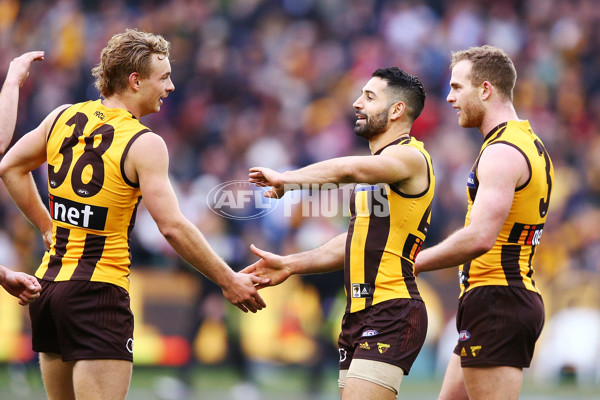 AFL 2018 Round 20 - Hawthorn v Essendon - 617510