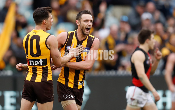 AFL 2018 Round 20 - Hawthorn v Essendon - 617367