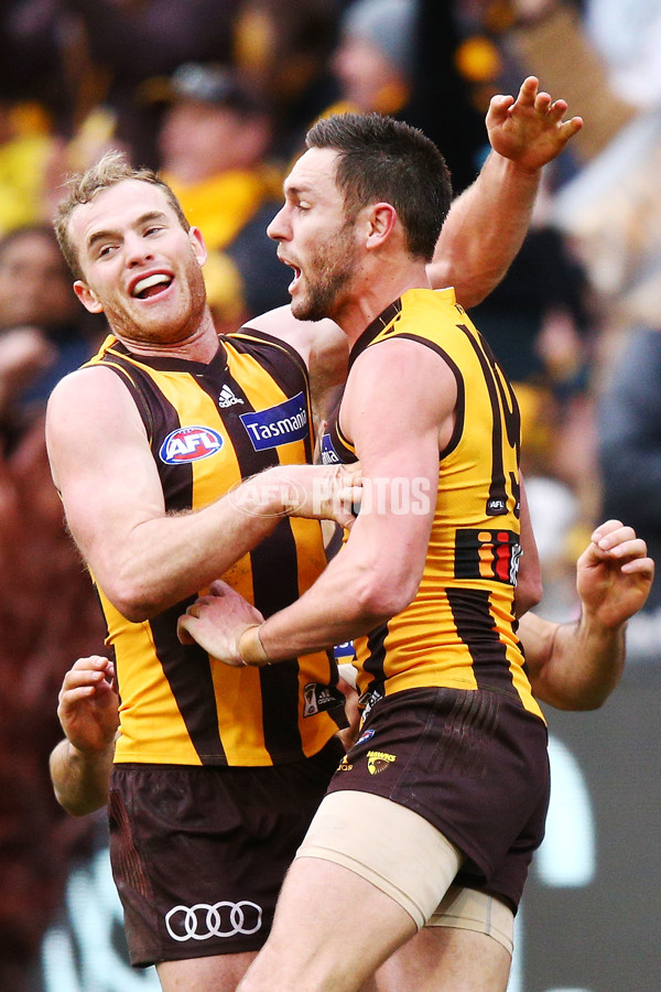 AFL 2018 Round 20 - Hawthorn v Essendon - 617406